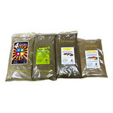 Kit Isca Massa Japonesa