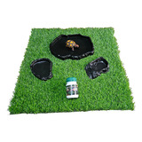 Kit Jabuti Filhote Completo