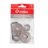 Zinni