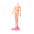 Kit Lote 10 Suporte Pink Para Boneca Barbie Monster High
