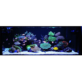 Kit Luminária 82cm Barra Tubo Led Iluminação Aquário Peixes