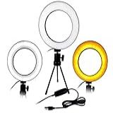 Kit Luminária Ring Light 16cm Usb