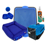 Kit Luxo Caminha Transporte Casinha Plástica Para Cães Promo