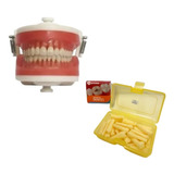 Kit Manequim Top Dentistica