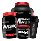 Kit Massa 3kg Whey Protein 900g Bcaa 250g Coqueteleira