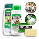Kit Matacura Antiseptico Shampo