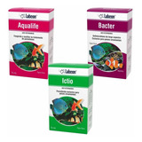 Bacter