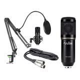 Kit Microfone Condensador Bm800 Para Interface