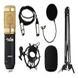 Kit Microfone Condensador Bm800 Waver Xlr