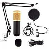 Kit Microfone Condensador Estudio