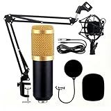 Kit Microfone Estúdio BM800 - Pop Filter - Aranha - Braço Articulado 813 - Lorben