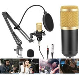 Kit Microfone Estúdio Pop Filter Aranha