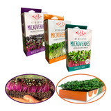 Kit Microgreens Microverdes 6 Variedades Substrato E Bandeja