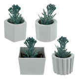 Kit Mini Vasinhos Decorativos Com Plantinhas Suculenta