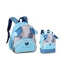 Kit Mochila De Costa Escolar 13 E Lancheira Bolsa 9 Infantil Cachorro Azul Clio Style 2025