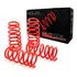 Kit Mola Esportiva Red Coil Fiat Punto 1.4 1.6 Todos
