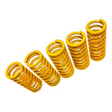 Kit Molas De Embreagem Competição Moto Yamaha Dt180