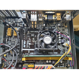 Kit Motherboard Asus Am1a br