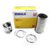 Kit Motor Mwm D225   3 Cilindros