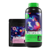 Kit Nutrição Fertilizante Flowermind M   1 Litro 125 Gramas