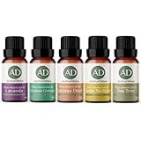 Kit Óleo Essêncial Completo Para Aromaterapia   Os 5 Aromas Mais Populares 100  Puros   Lavanda  Eucalipto  Limão Siciliano  Laranja Doce E Tea Tree  Melaleuca    Aroma D Alma