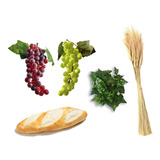 Kit P Ceia Do Senhor C Pão Filão Trigo Uvas Folhagens