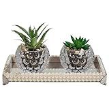 Kit Par Vasinhos De Vidro Com Suculenta Bandeja De Pérolas Modelo 1