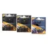 Kit Pastilha Freio D + T Suzuki Bandit 650 Cobreq 330q 174q