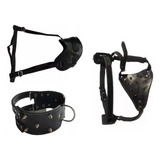 Kit Peitoral Focinheira Coleira Couro Legítimo Preto