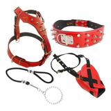Kit Peitoral Pitbull Couro Coleira Focinheira Corrente