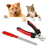 Cães