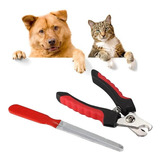 Cães
