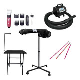 Kit Petshop Secador Soprador Banho E Tosa E Maquina