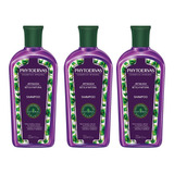 Kit Phytoervas Shampoo Antiqueda 250ml 3 Unidades