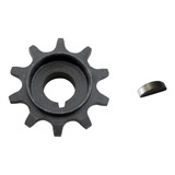 Kit Pinhao 10 Dentes