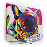 Kit Pintura Terapêutica Bulldog Colorido