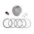 Kit Pistão 1.00 Da Motocicleta Dayun Dy 150-7 Phanthon 