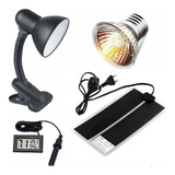 Kit Placa De Aquecimento Lâmpada Uva Uvb Repteis 110v 220v