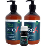 Kit Pro A Theros Therapy Antiqueda