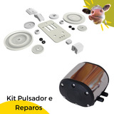 Kit Pulsador Pneumático Gimenez Peças Reparo Manutenção