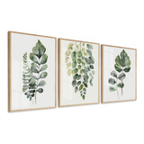 Kit Quadros Decorativos Folhagem Verde Modena