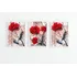 Kit Quadros Decorativos Sala Quarto Flor Rosa Vermelha