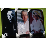 Kit Quadros Jiujitsu Mestres