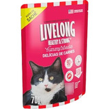 Kit Ração Úmida Livelong Gatos Delícias De Carne 70gr 15unid