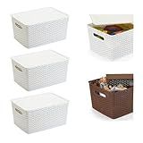 Kit Rattan C 03 Caixas Organizadoras C Tampa 15 Litros Cor Branco