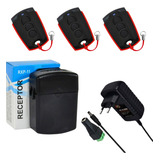 Kit Receptor Rxp11 2