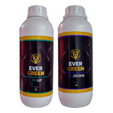 Kit Regulador Ph Up E Ph Down 100ml Cultivo Planta Jardim