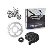 Kit Relação Transmissão Yamaha Fazer 250 2006 Até 2017 Com Retentor -O-ring- TOP Aço 1045 Riffel 91091