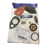 Kit Reparo Bomba Gasolina Motor Johnson Evinrude Original