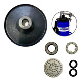 Kit Reparo Bomba Graxa E Disco Raspador Yamaguchi